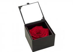Червена вечна роза в черна кутия