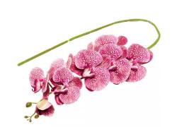 Изкуствена орхидея клон Розов и Бял