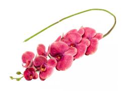 Изкуствена орхидея клон Розов