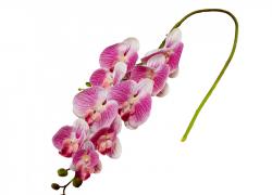 Клонче пурпурна орхидея 100см.