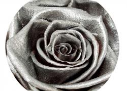 Сребърна вечна роза