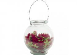 Стръклена ваза за цветя и аранжировки