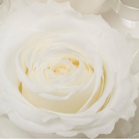 ЗА ПОДАРЪК  Бяла вечна роза за подарък