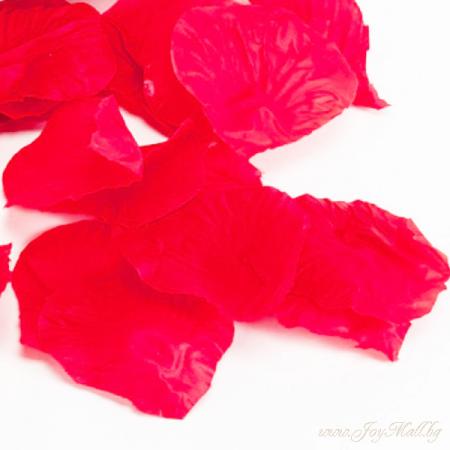 Изчерпани продукти  Червени розови листа (изкуствени)
