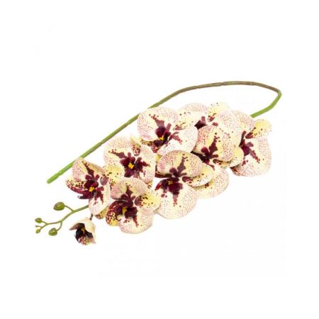 Изчерпани продукти  Изкуствена орхидея клон Многоцветен