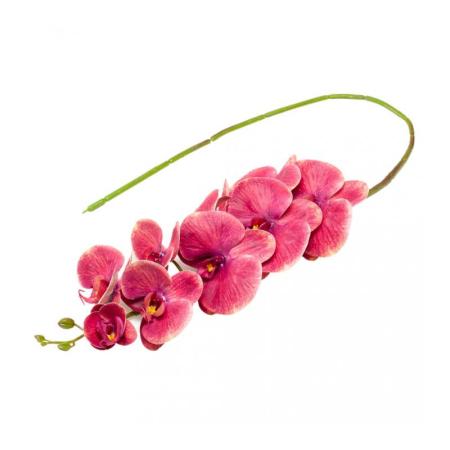 Изчерпани продукти  Изкуствена орхидея клон Розов