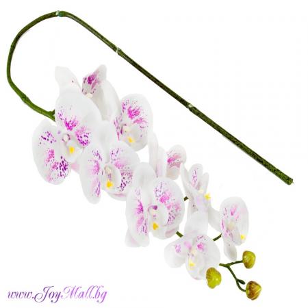 Изчерпани продукти  Клонче бяла орхидея 100см.