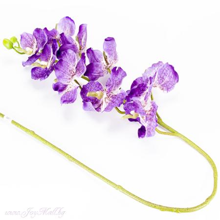 Изчерпани продукти  Клонче лилава орхидея