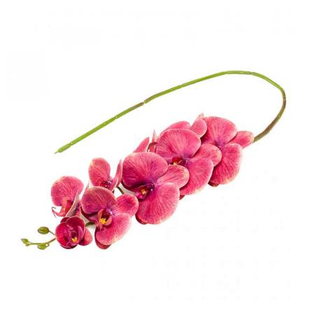Изчерпани продукти  Клонче орхидея в розово