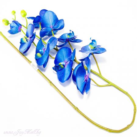 Изчерпани продукти  Клонче синя орхидея