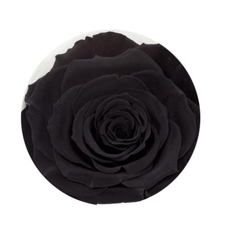 Изчерпани продукти  Стилна черна вечна роза